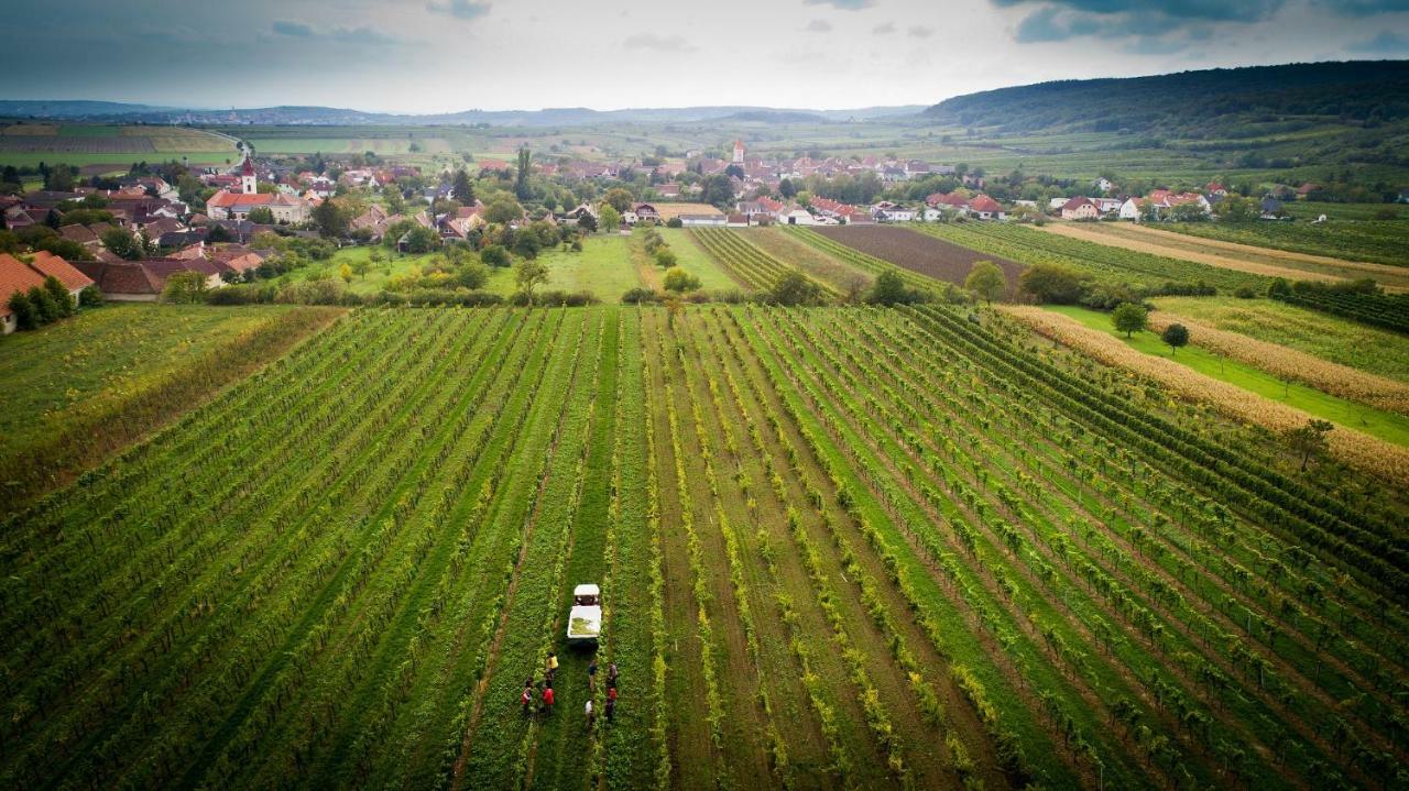 Weingut Familie Krell Hotel Mitterretzbach Kültér fotó